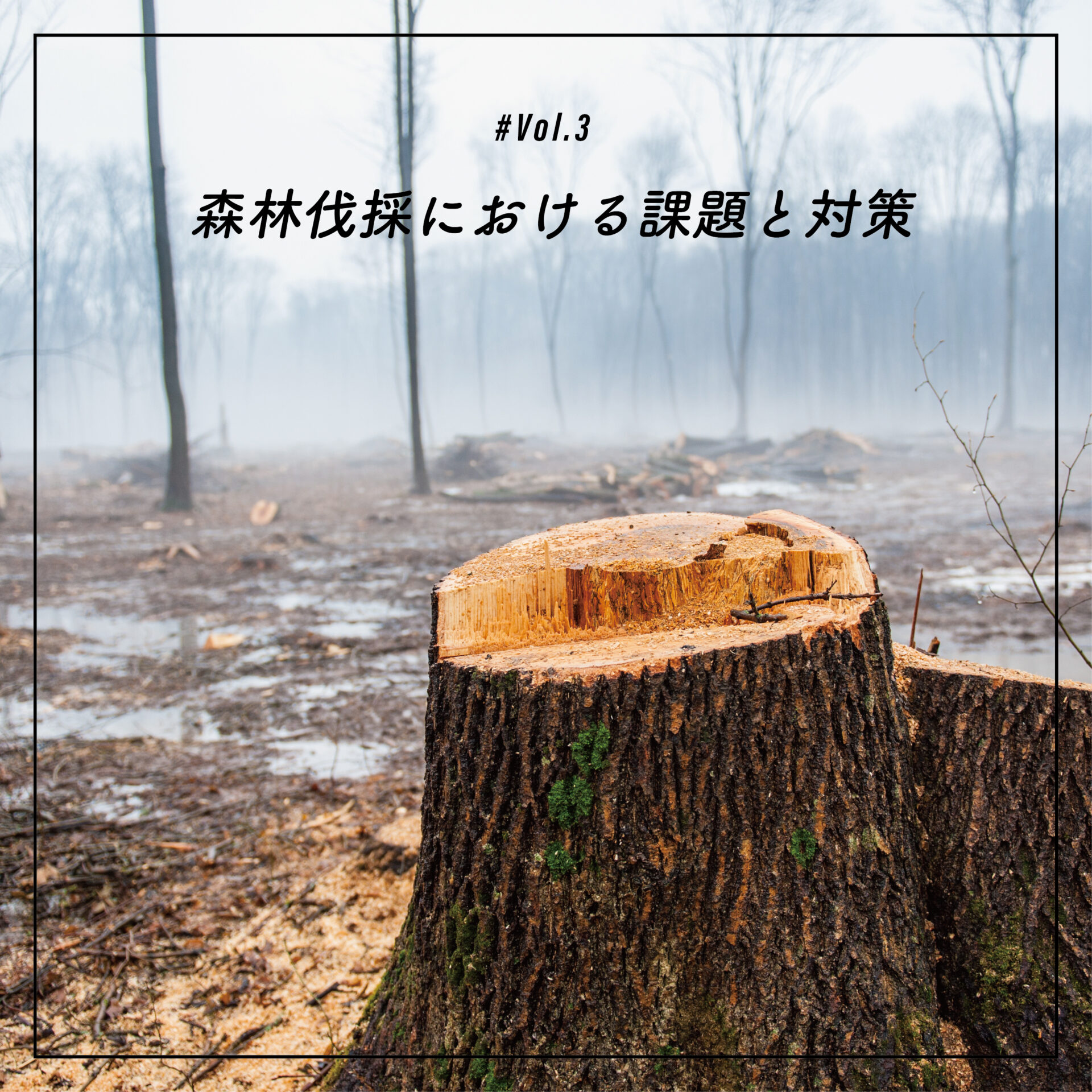 WEB MAG #3 森林伐採の課題と対策 | 院庄林業株式会社 | 岡山の総合木材メーカー