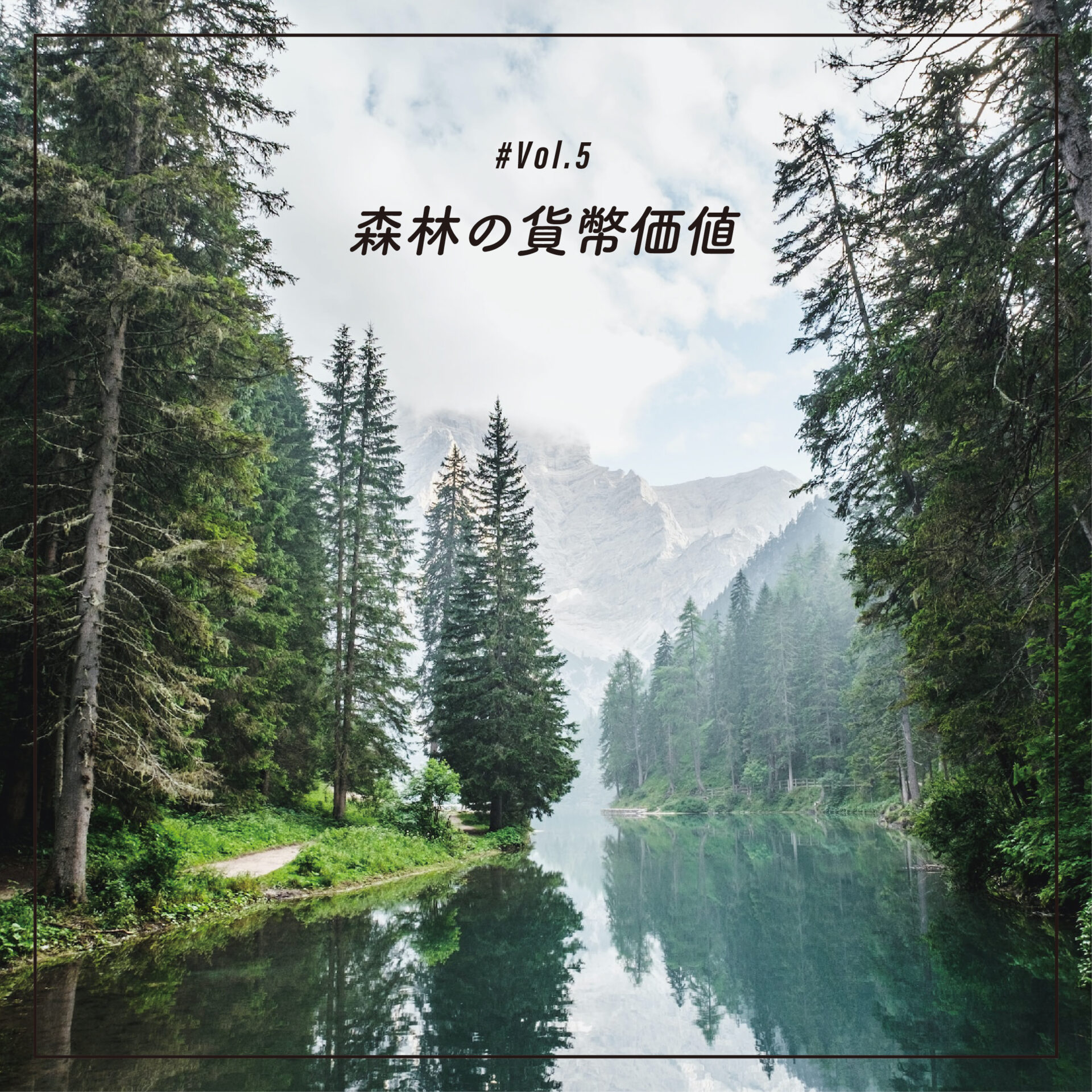 WEB MAG #5 森林の価値はいくら？ | 院庄林業株式会社 | 岡山の総合木材メーカー