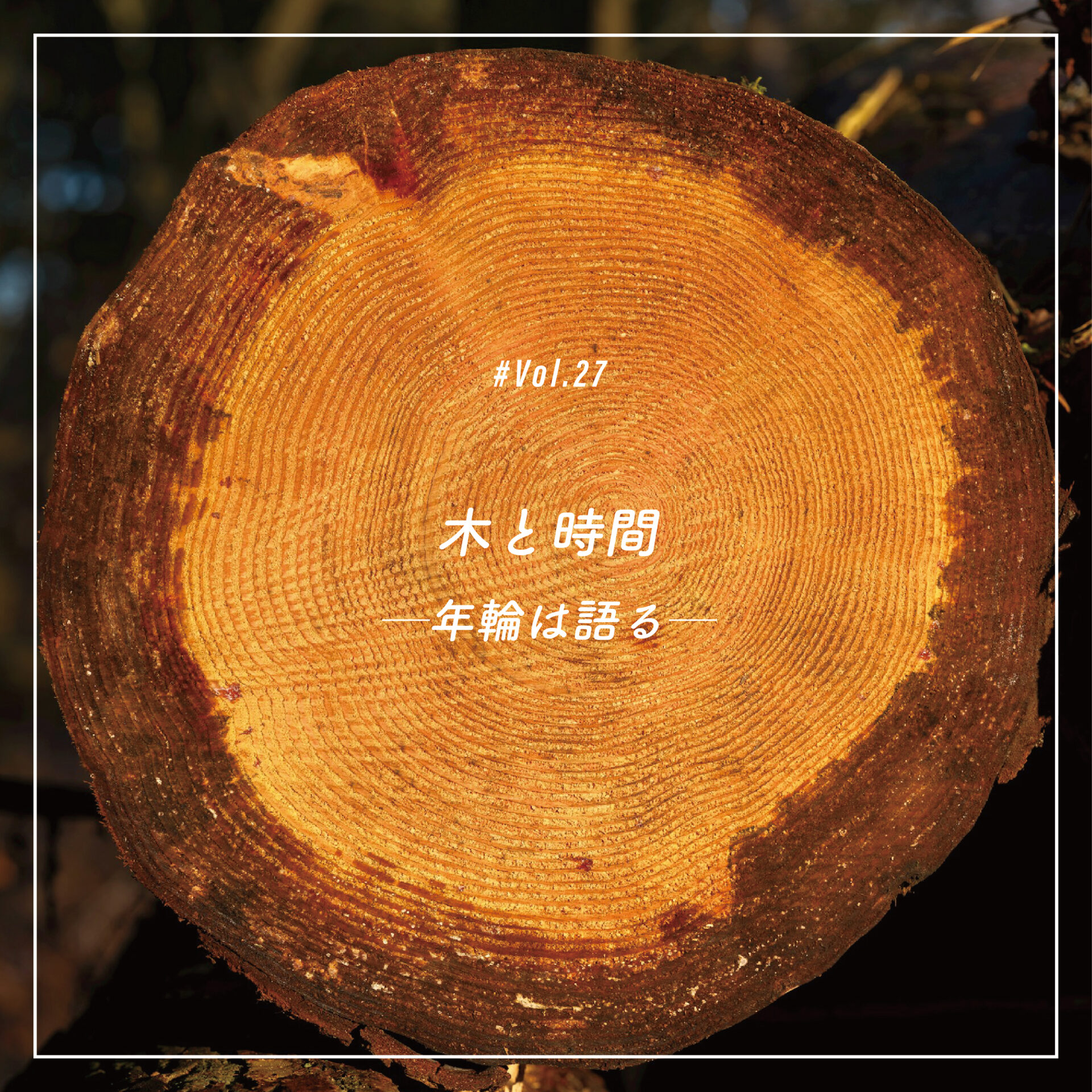 WEB MAG #27 木と時間 ─年輪は語る─ | 院庄林業株式会社 | 岡山の